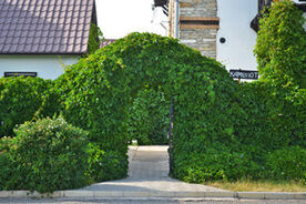 Большой дом, Загородный клуб Камелот, Набережные Челны