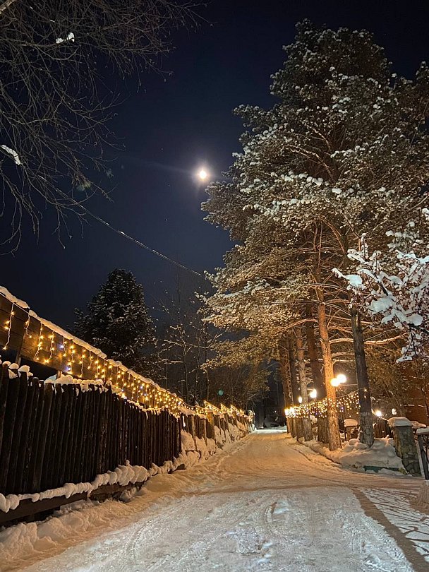 Лес, Кемеровская область: фото 5