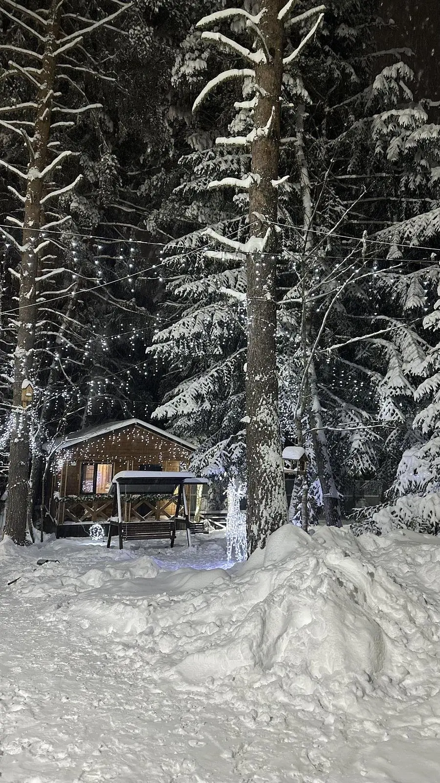 Спокойствие (Сабр), Республика Карачаево-Черкесия: фото 4