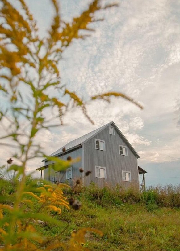 4 сезона, Тульская область: фото 3