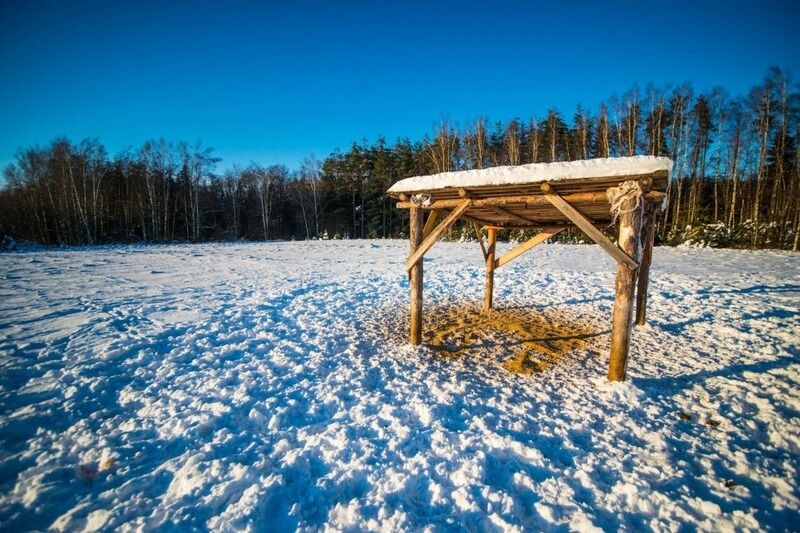 Шатер | Заозерье, Псковская область