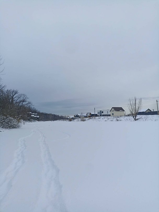 Фото 1 из отзыва о коттеджном комплексе Шведские дачи