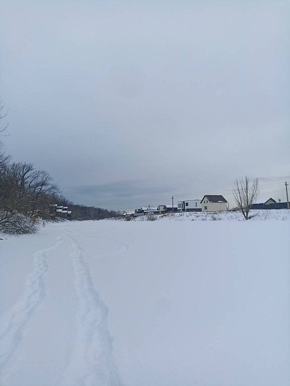 Фото из отзыва от 06.02.2026