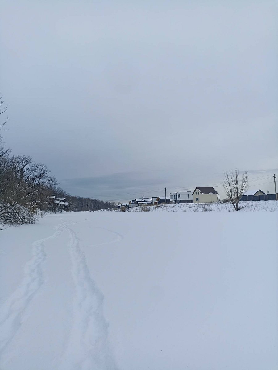 Фото 1 из отзыва о коттеджном комплексе Шведские дачи