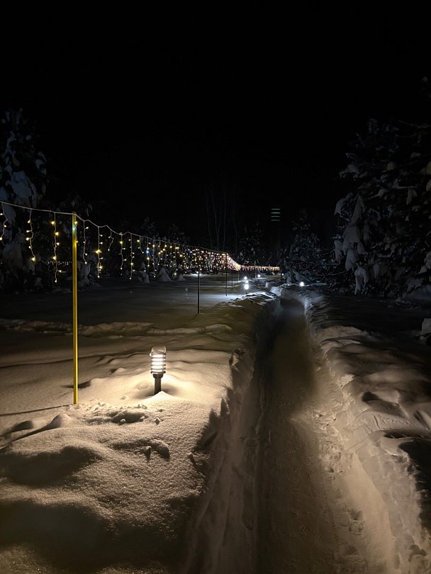 Фото 1 из отзыва о глэмпинге Багио