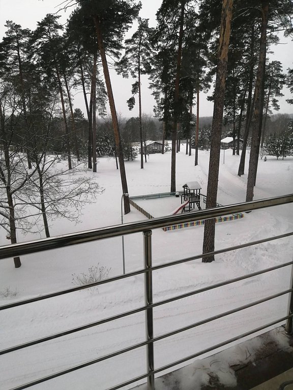 Фото из отзыва от 07.02.2026