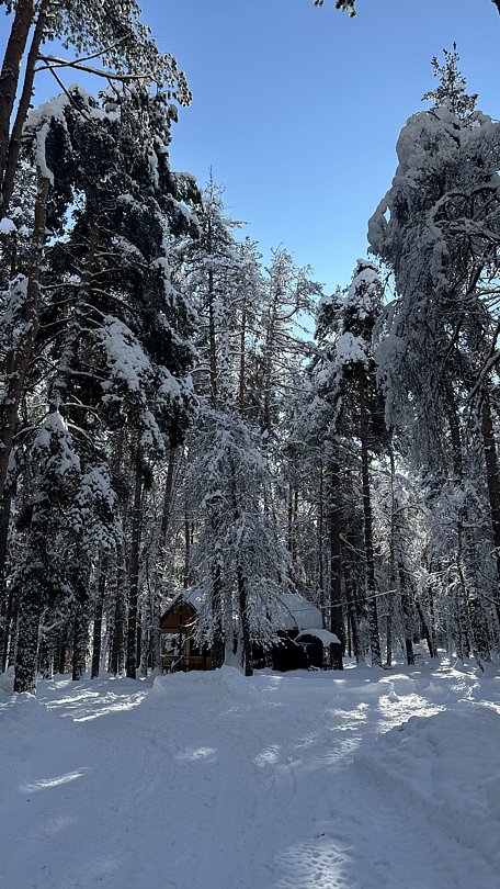 Гостевой дом 12 Месяцев, Республика Карачаево-Черкесия, Архыз Зеленчукский район