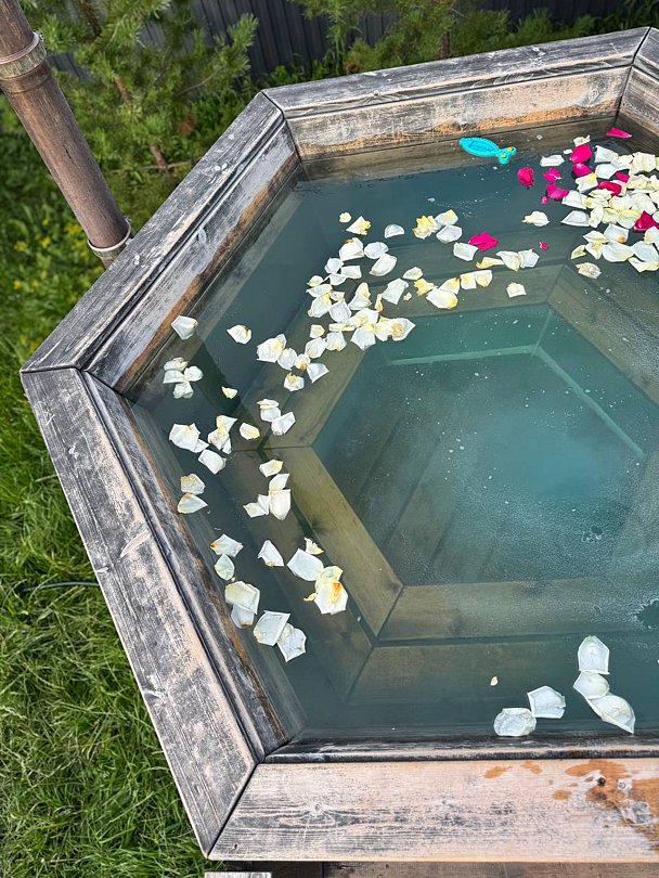 Дом в аренду Пар и сосны, Республика Башкортостан: фото 5