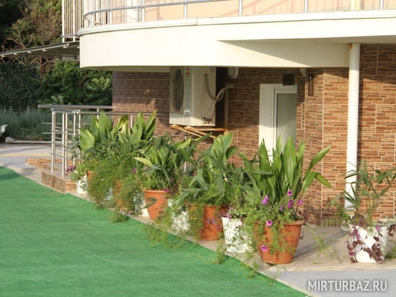 Южная, Крым: фото 5