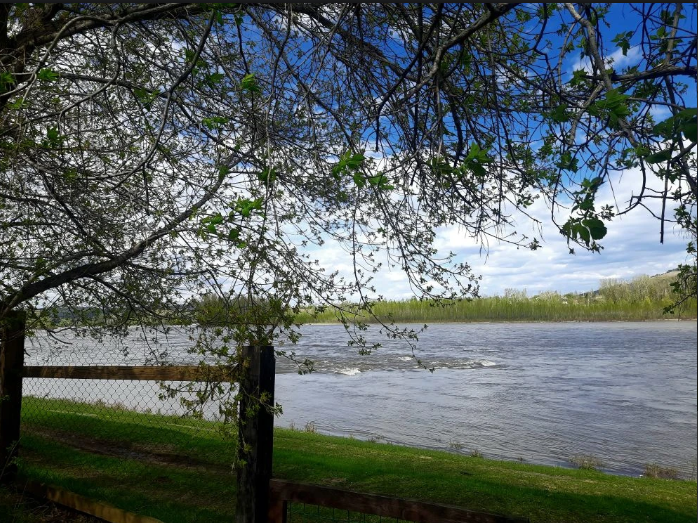 База отдыха Три клена, Алтайский край, село Ая Алтайский район