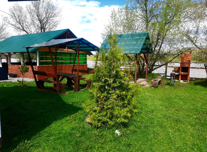 Три клена, Алтайский край: фото 3