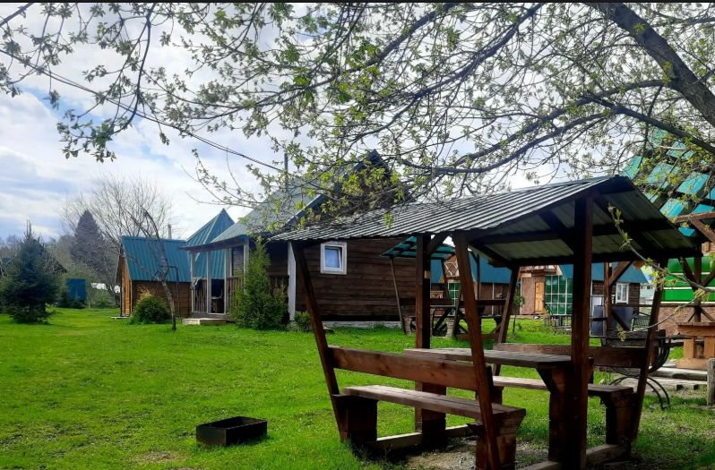 Три клена, Алтайский край: фото 5