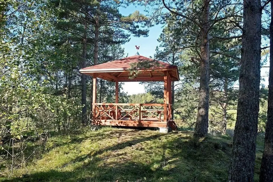 Остров Мейери, Республика Карелия: фото 5