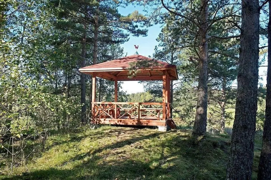Остров Мейери, Республика Карелия: фото 5