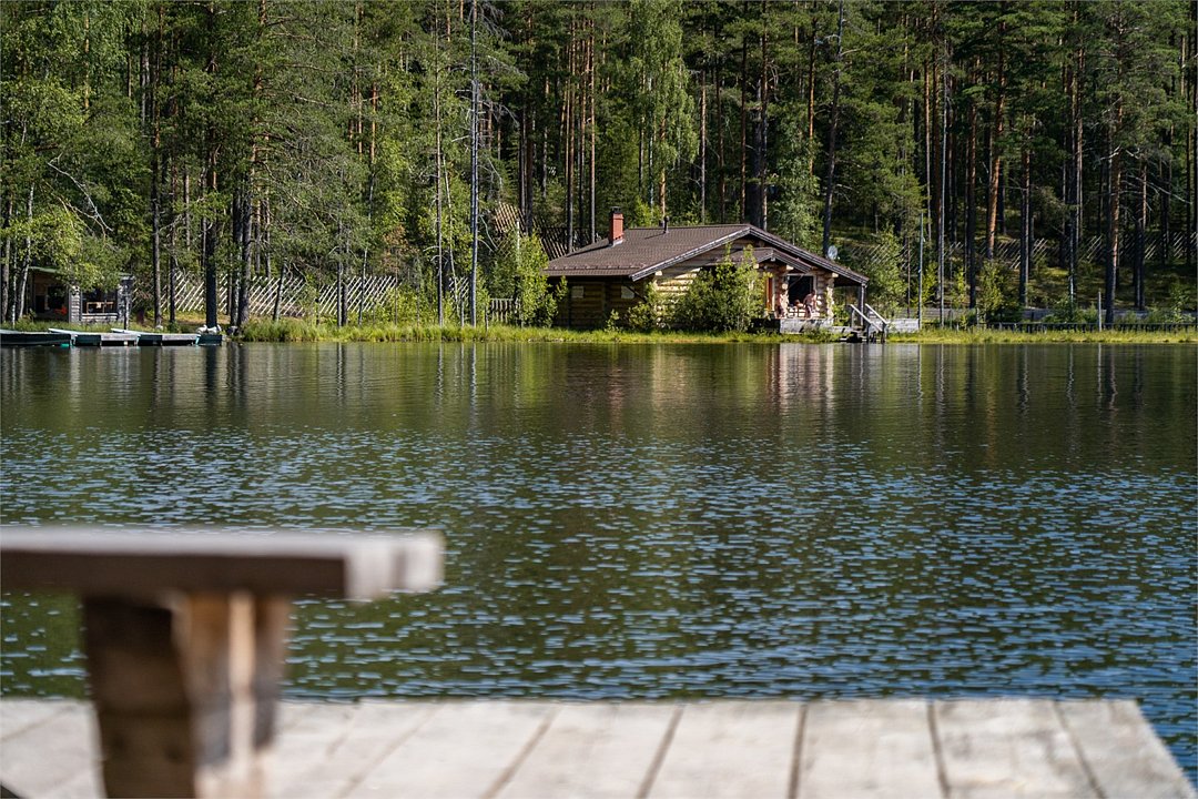 Шишки на Лампушке, Ленинградская область: фото 5