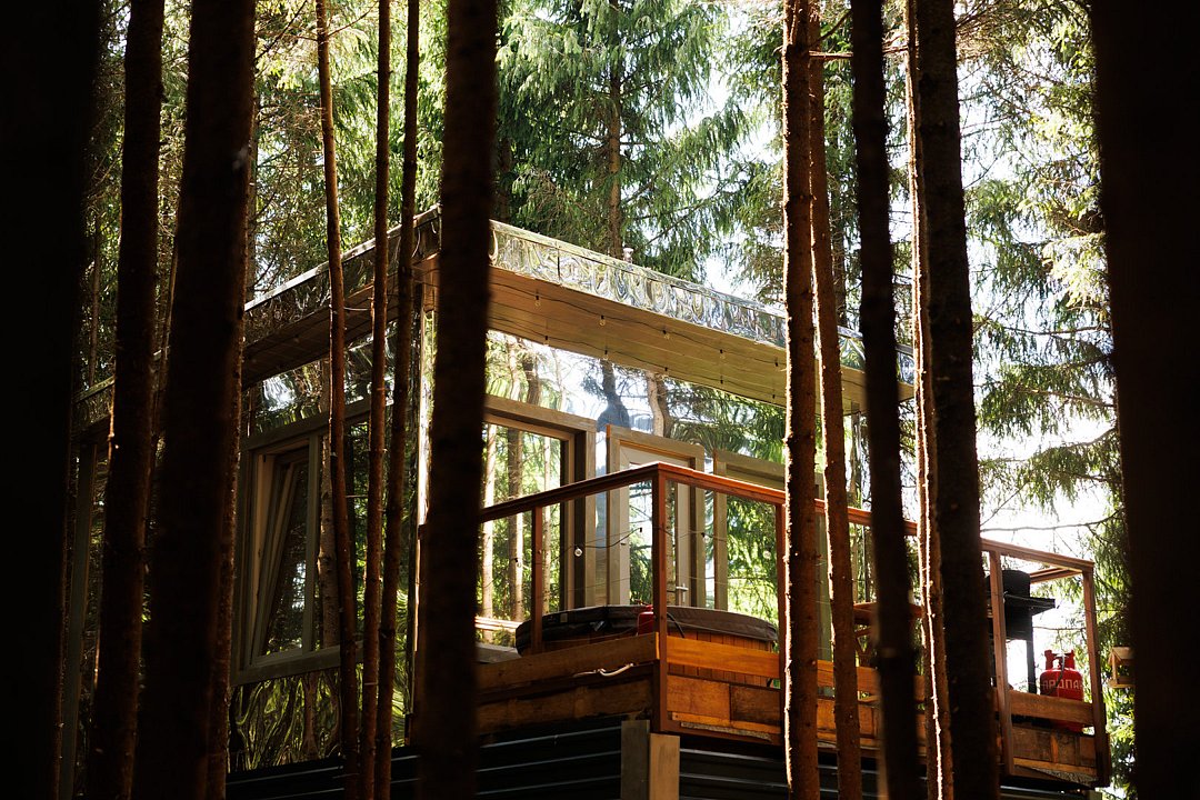 Ёлкино.life, Московская область: фото 2