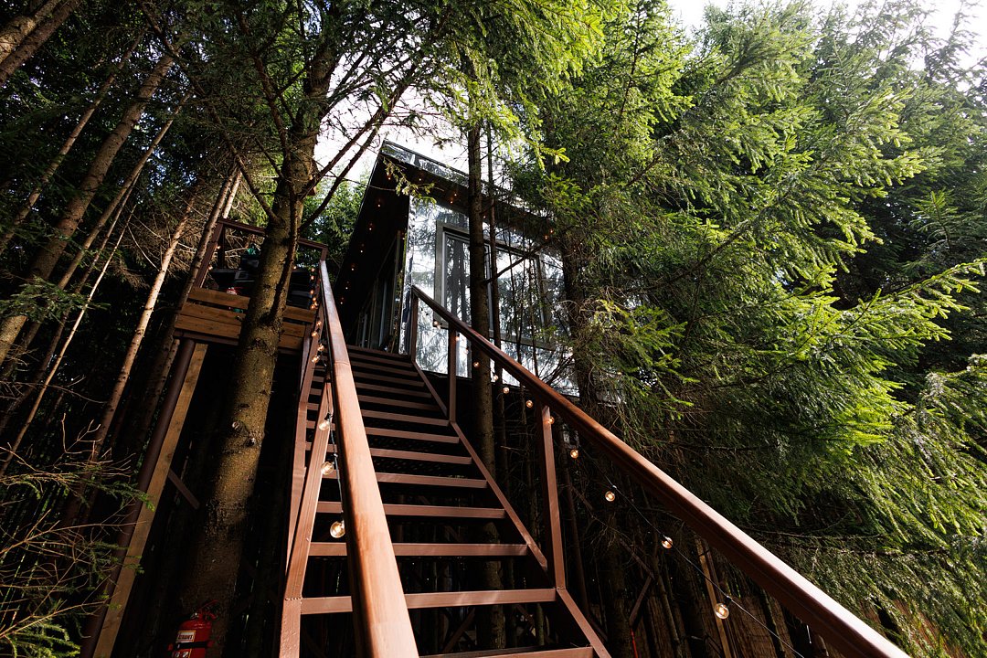 Ёлкино.life, Московская область: фото 5