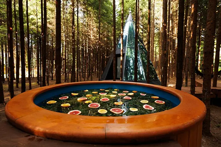 Ёлкино.life, Московская область: фото 4