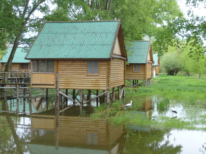 Рыболовная база Прокоста (Procosta), Астраханская область, Камызякский район Станья Камызякский район село Чапаево Кировский село Жан-Аул