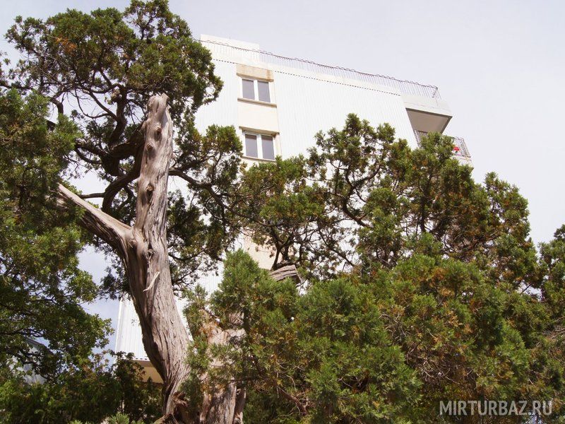 Янос, Крым: фото 5