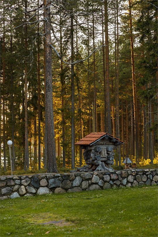 Медвежка в Карелии, Республика Карелия: фото 3