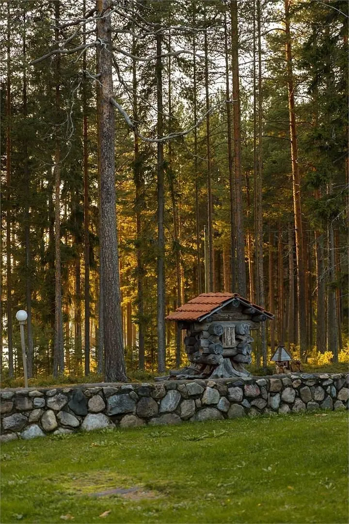 Медвежка в Карелии, Республика Карелия: фото 3