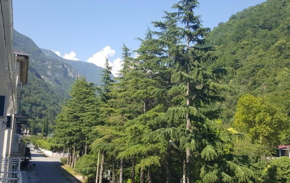 Мини отель Горный ручей, Гагрский район: фото 2