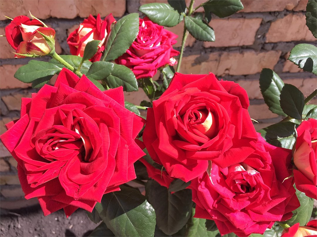 Марьяна, Пензенская область: фото 4