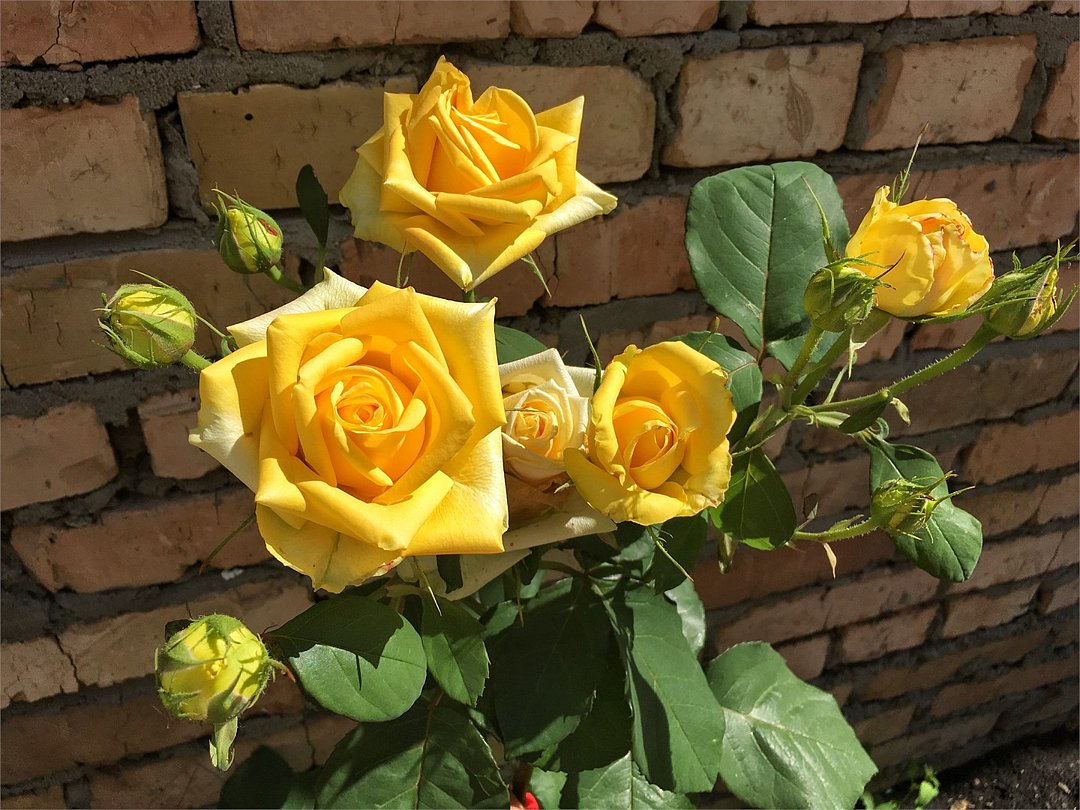 Марьяна, Пензенская область: фото 5