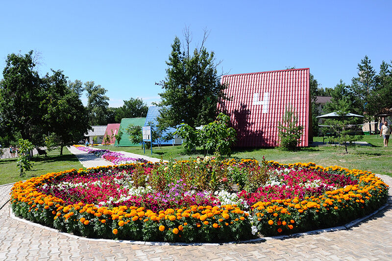 Дон, Воронежская область: фото 2