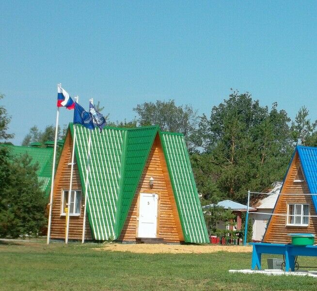 Дон, Воронежская область: фото 3