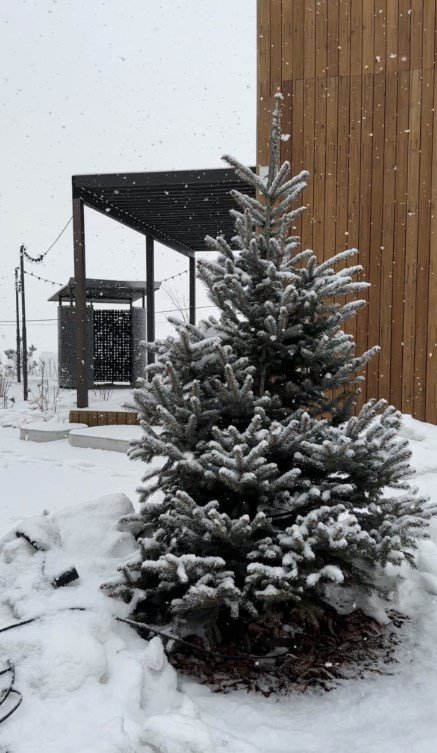 Сопка, Приморский край: фото 3