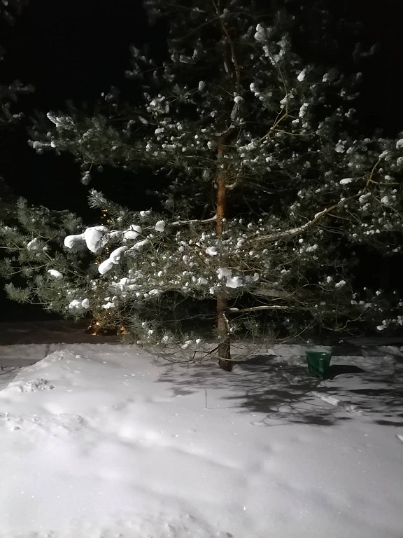 Фото из отзыва от 19.02.2026