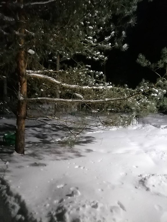 Фото из отзыва от 19.02.2026