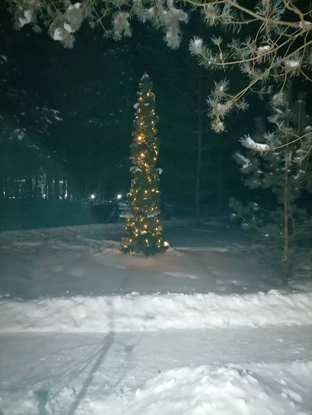 Фото 4 из отзыва о центре активного отдыха Лукоморье