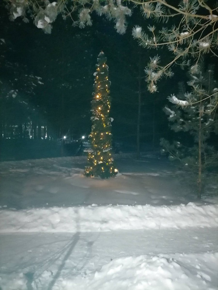 Фото 4 из отзыва о центре активного отдыха Лукоморье