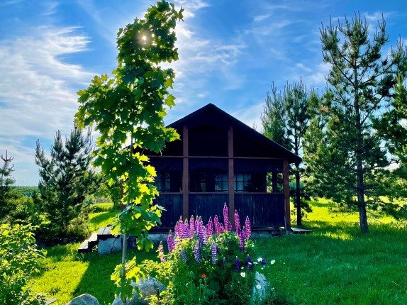 У Родника, Алтайский край: фото 2