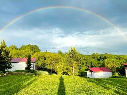 У Родника, Алтайский край: фото 3