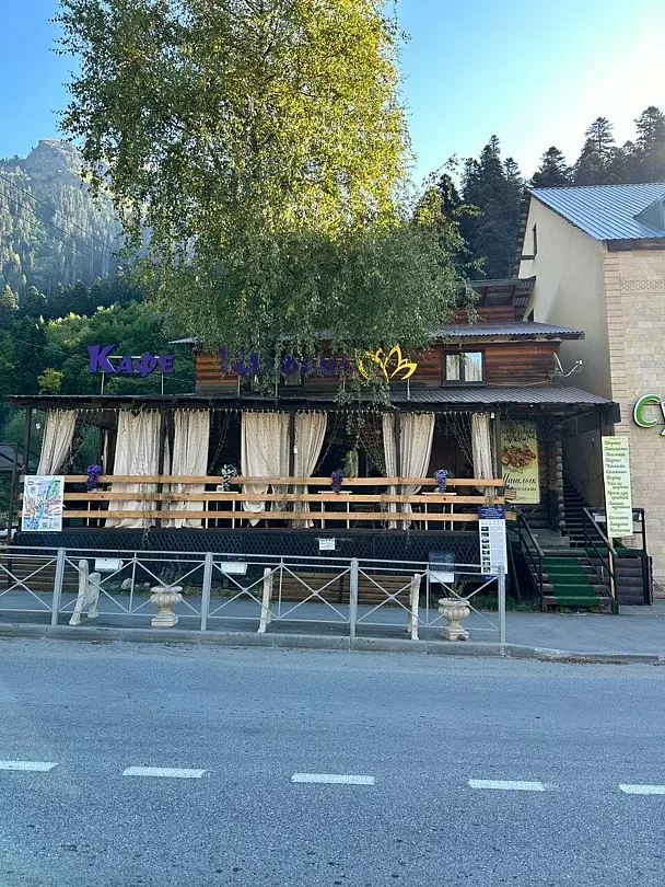 Шафран, Республика Карачаево-Черкесия: фото 2