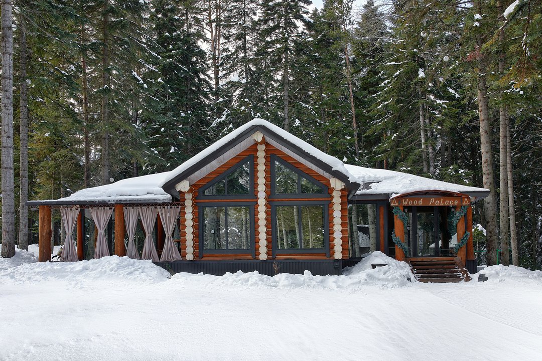 Пихта-парк, Республика Карачаево-Черкесия: фото 4