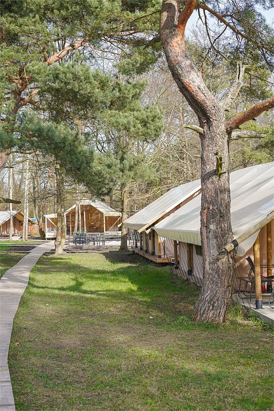 Глэмпинг Малина, Калининградская область: фото 2