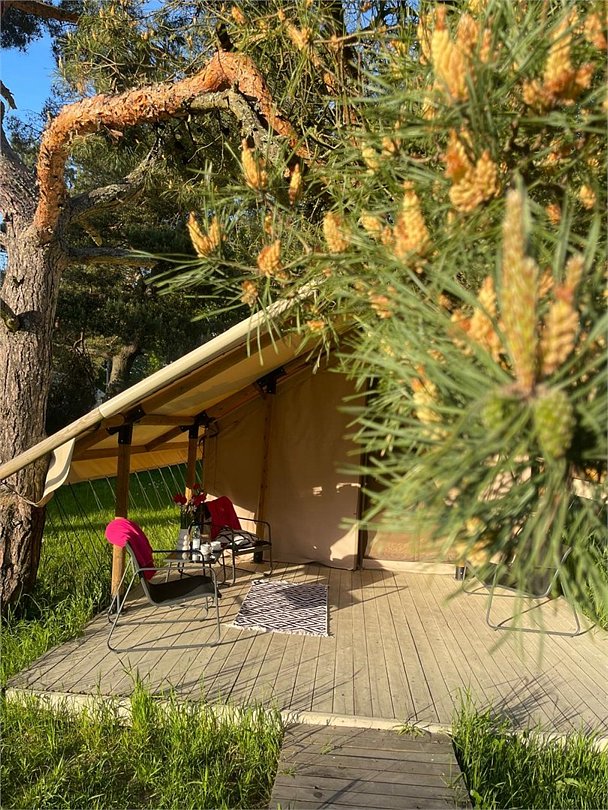 Глэмпинг Малина, Калининградская область: фото 5