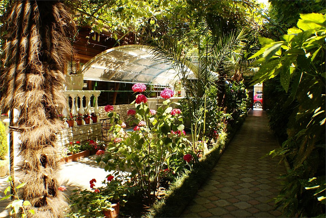 Эдельвейс, Краснодарский край: фото 2