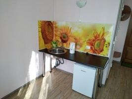 Гостиничный номер 2, База отдыха Лукоморье, Нижний Тагил