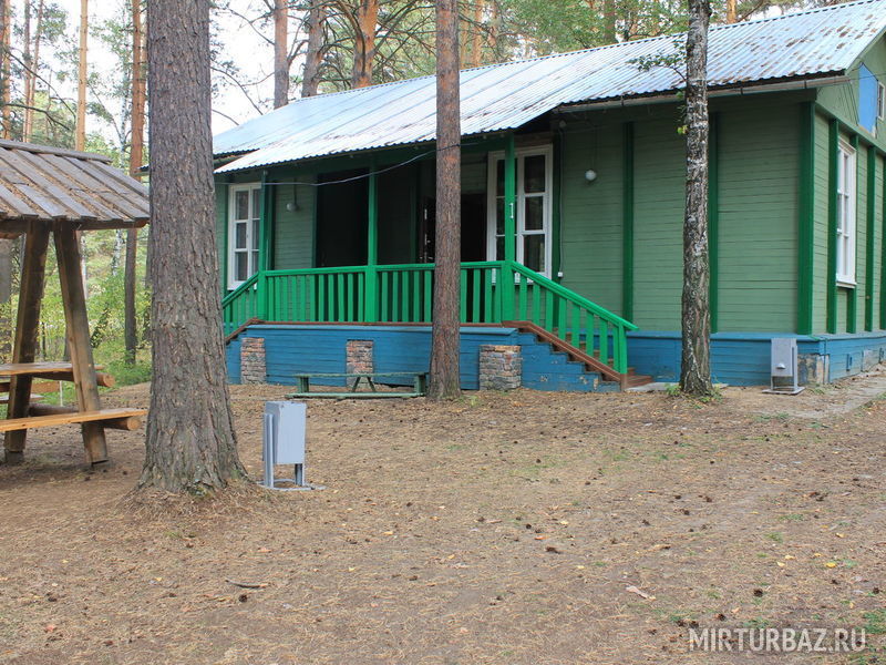 Калина, Свердловская область: фото 2