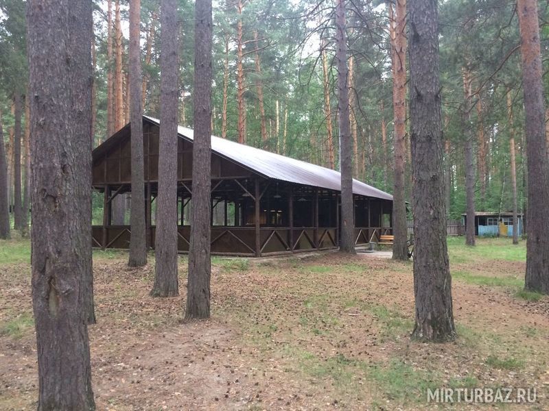 Калина, Свердловская область: фото 4