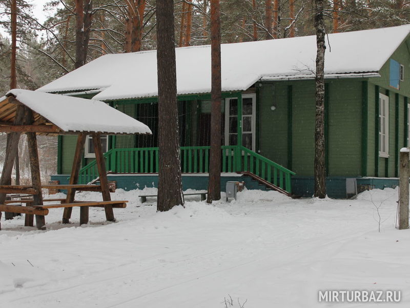Калина, Свердловская область: фото 5