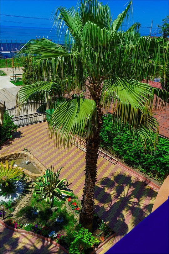 Штиль, Краснодарский край: фото 2