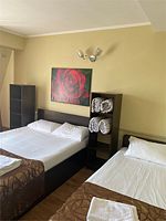 Стандарт 4х местный, Гостевой дом Адениум 585, Адлер
