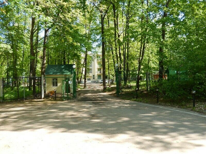 Березка, Ульяновская область: фото 4